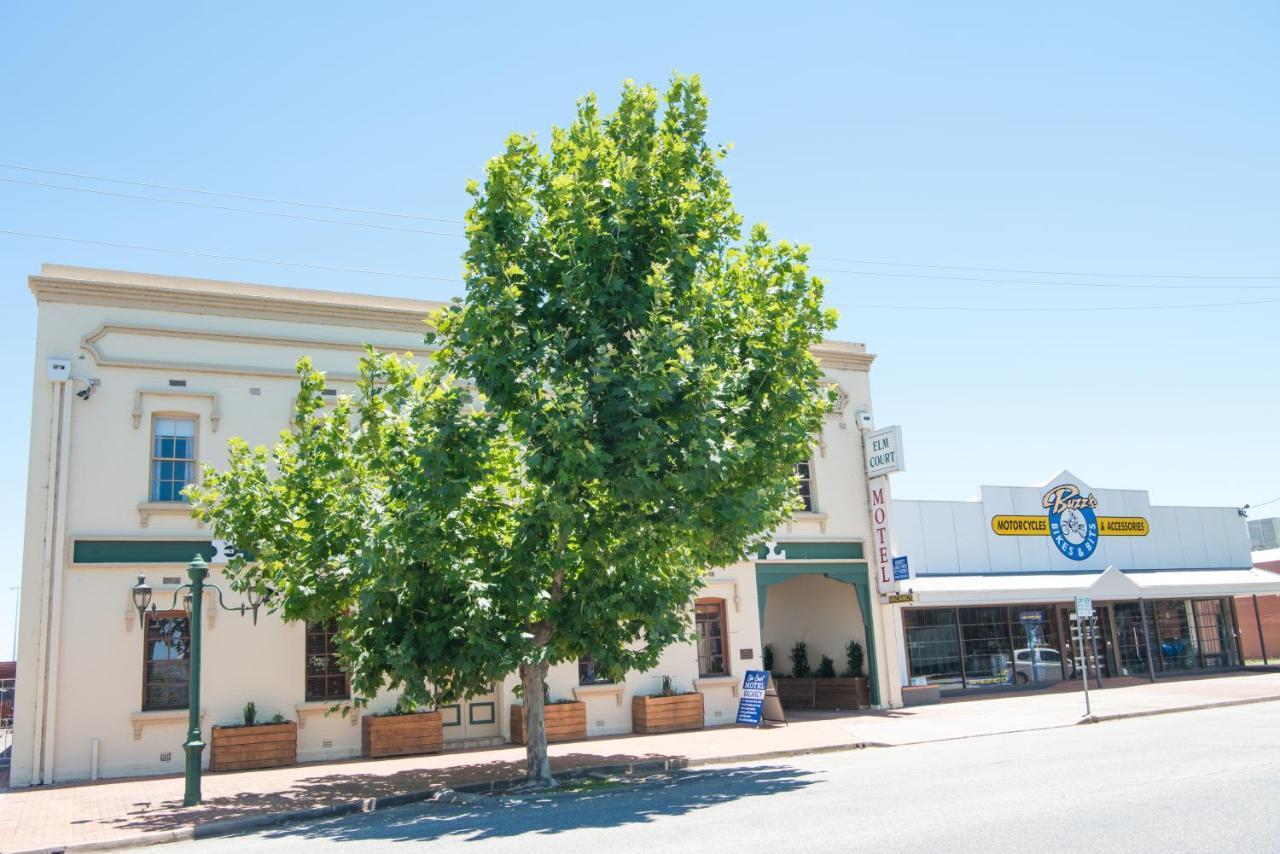 Elm Court Motel Albury Exteriör bild