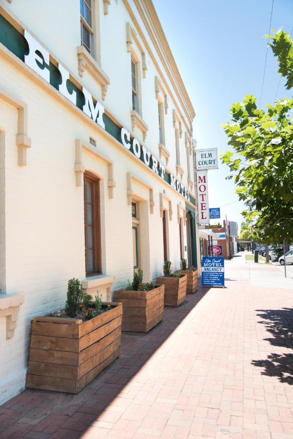 Elm Court Motel Albury Exteriör bild