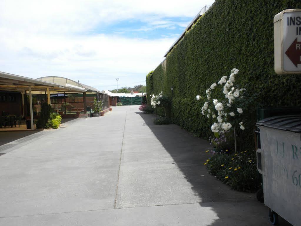 Elm Court Motel Albury Exteriör bild